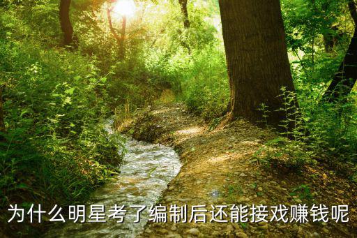 繳情戲,體制內演員不計其數只要付勞務費就可建劇院