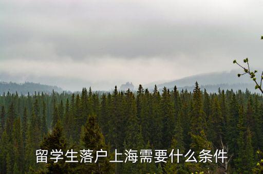 留學生落戶上海需要什么條件