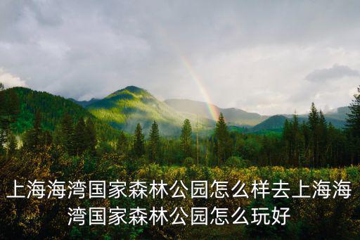 上海海灣國家森林公園怎么樣去上海海灣國家森林公園怎么玩好
