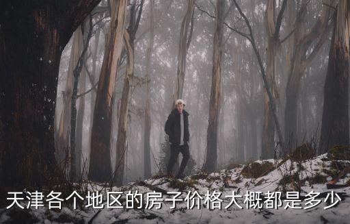 天津市重點片區房價，天津各區域的房價分布