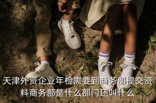 天津市外資企業驗資，天津外資企業年檢需要到商務部提交資料商務部是什么部門還叫什么