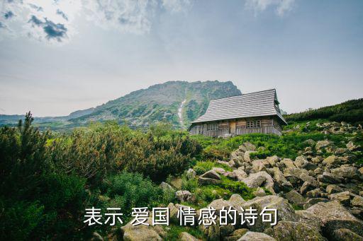 愛國情感的古詩,為國家分憂也為自身出力