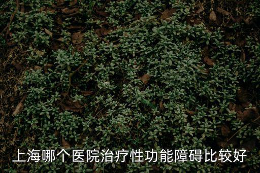 上海治療性功能障礙醫院，上海治療性功能障礙的醫院哪家好a 在上海治療i性功能障礙疾病去哪
