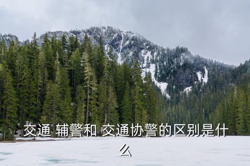 交通輔警,第二條交通警察道路執(zhí)勤執(zhí)法守則:輔警只是輔警標(biāo)志