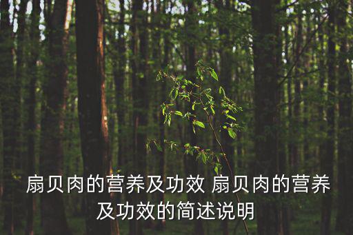 扇貝的功效與作用,食用扇貝補(bǔ)碘可促進(jìn)甲狀腺素合成