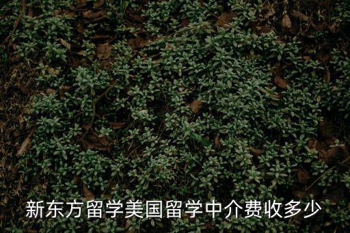 新東方留學(xué)美國(guó)留學(xué)中介費(fèi)收多少