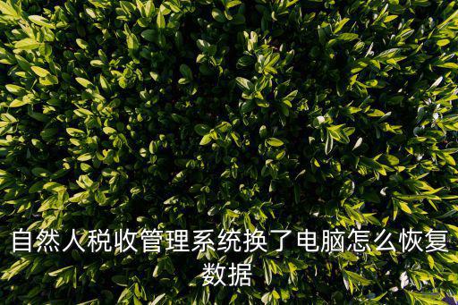 自然人稅收管理系統換了電腦怎么恢復數據