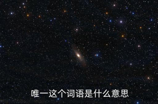  唯一這個詞語是什么意思