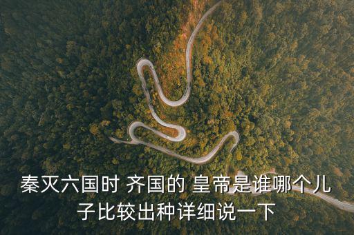 秦滅六國時(shí) 齊國的 皇帝是誰哪個(gè)兒子比較出種詳細(xì)說一下