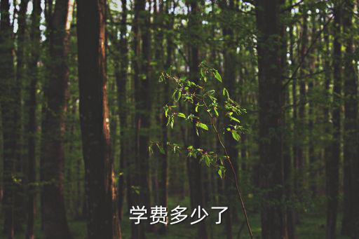 寶山世外學(xué)費2020，學(xué)費多少了