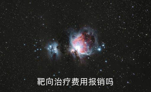 肺癌靶向藥物納入上海市醫保，想問一下有人知道肺癌靶向藥易瑞沙被納入乙類醫保這件事情嗎  搜