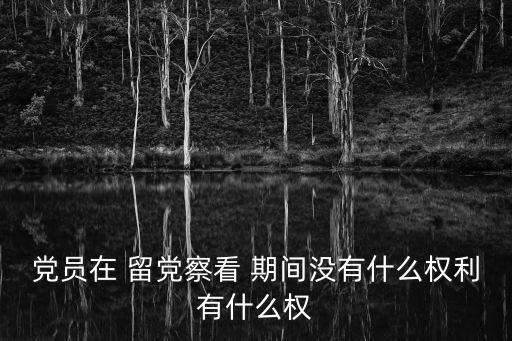 黨員在 留黨察看 期間沒有什么權(quán)利有什么權(quán)