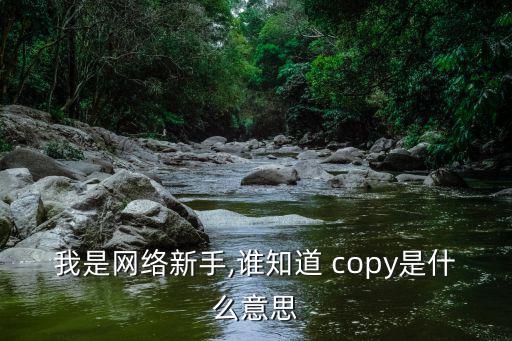 copy是什么意思,這些英文名詞從何而來(lái)?