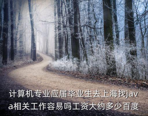 上海市java招聘計算機專業(yè)，我現(xiàn)在在上海找工作我想找份java初級軟件開發(fā)工程師的工作誰能