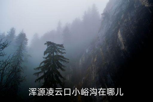 苗峪村，沂水崔家峪鎮狀元墓在哪個村