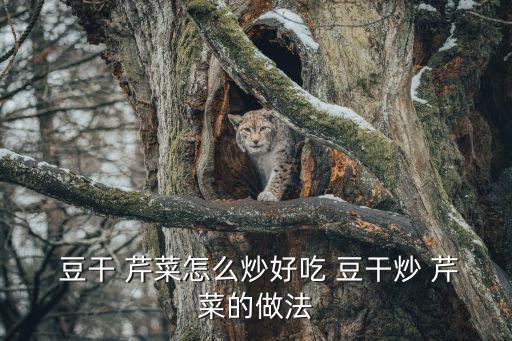  豆干 芹菜怎么炒好吃 豆干炒 芹菜的做法