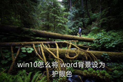 word護(hù)眼,怎么用護(hù)眼mode?!