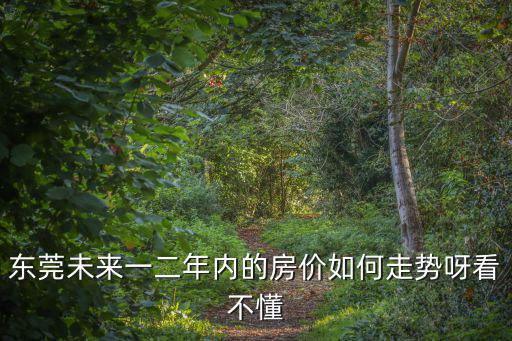 東莞未來一二年內的房價如何走勢呀看不懂