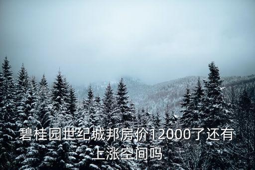 碧桂園世紀城邦房價12000了還有上漲空間嗎