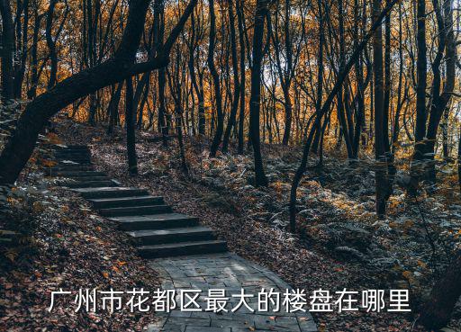 廣州市花都區(qū)最大的樓盤(pán)在哪里