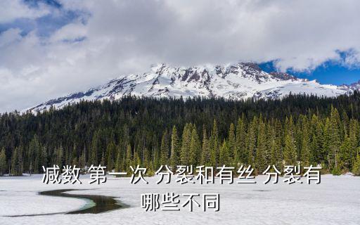  減數 第一次 分裂和有絲 分裂有哪些不同