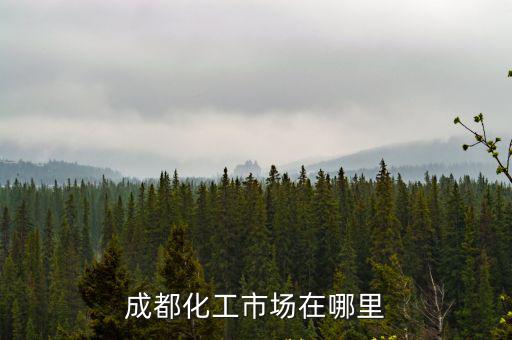 成都化工市場在哪里