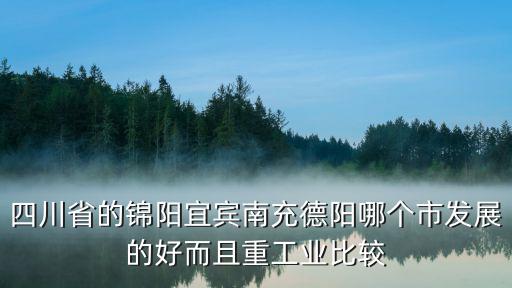 四川省的錦陽宜賓南充德陽哪個市發展的好而且重工業比較