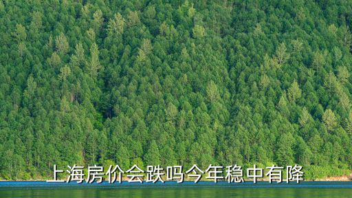 上海房價會跌嗎今年穩(wěn)中有降