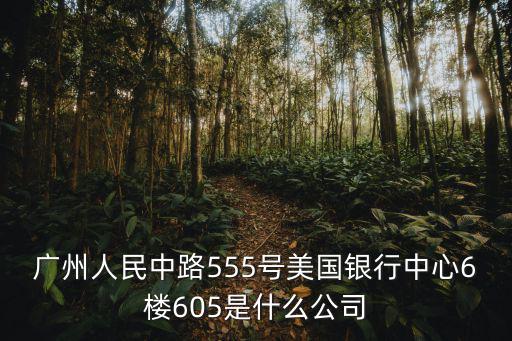 廣州人民中路555號(hào)美國(guó)銀行中心6樓605是什么公司