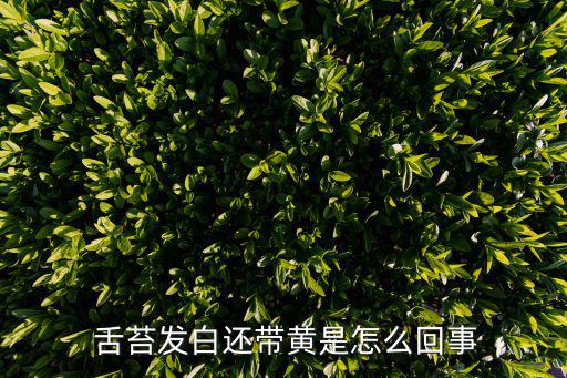 舌苔白黃,病情好轉(zhuǎn)舌苔會(huì)變白但不會(huì)全白
