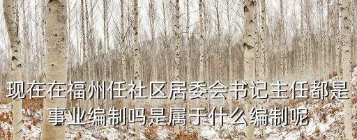 現在在福州任社區居委會書記主任都是事業編制嗎是屬于什么編制呢