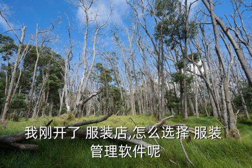 我剛開了 服裝店,怎么選擇 服裝 管理軟件呢