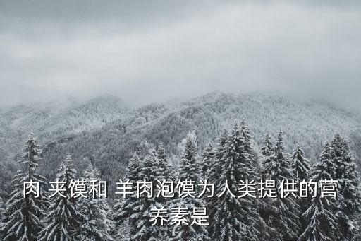 羊肉夾饃,西北地區小吃:肉夾饃是陜西xi名吃