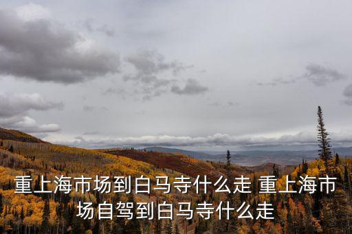 重上海市場到白馬寺什么走 重上海市場自駕到白馬寺什么走