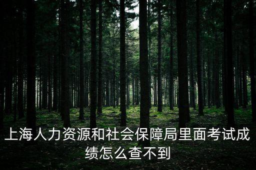 上海市社保積分怎么查詢不到，上海居住證辦好了為什么積分系統(tǒng)里面沒有信息
