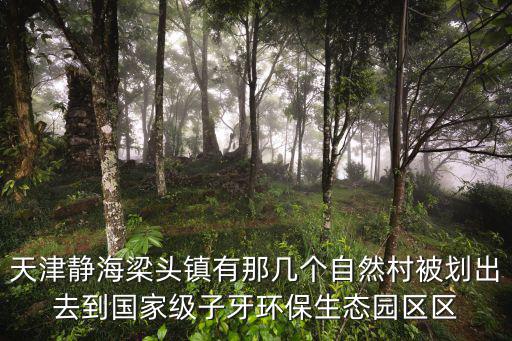 天津靜海梁頭鎮(zhèn)有那幾個自然村被劃出去到國家級子牙環(huán)保生態(tài)園區(qū)區(qū)