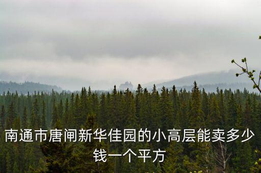 南通市唐閘新華佳園的小高層能賣多少錢一個平方