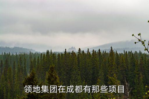領地集團在成都有那些項目