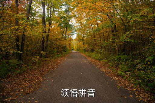  領悟拼音