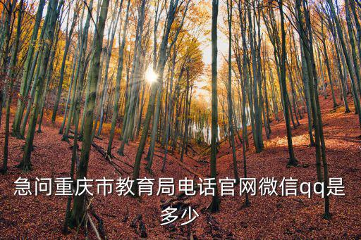急問重慶市教育局電話官網微信qq是多少