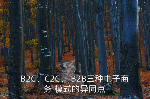 B2C、C2C、 B2B三種電子商務(wù) 模式的異同點(diǎn)