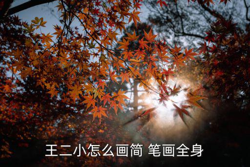王二小怎么畫簡 筆畫全身