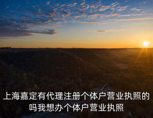 上海嘉定有代理注冊個體戶營業執照的嗎我想辦個體戶營業執照