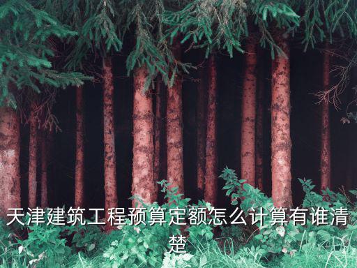 天津建筑工程預算定額怎么計算有誰清楚