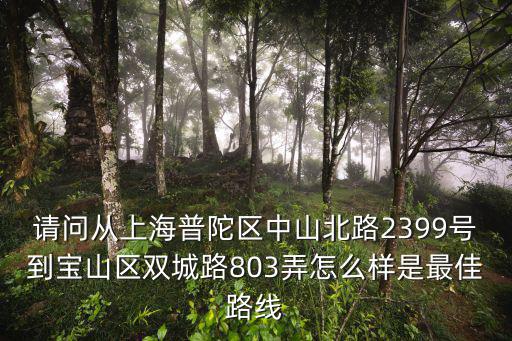 請(qǐng)問從上海普陀區(qū)中山北路2399號(hào)到寶山區(qū)雙城路803弄怎么樣是最佳路線