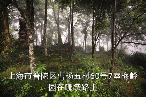 上海市普陀區曹楊五村60號7室梅嶺園在哪條路上