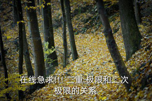 在線急求!!! 二重 極限和二次 極限的關系