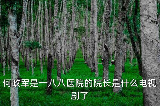 何政軍是一八八醫院的院長是什么電視劇了