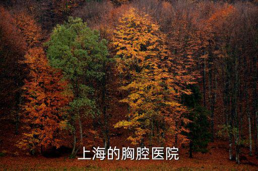 上海的胸腔醫(yī)院
