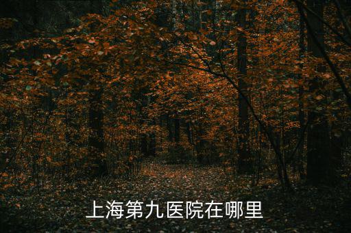 上海市第九人民醫院北院院長，上海第九醫院在哪里
